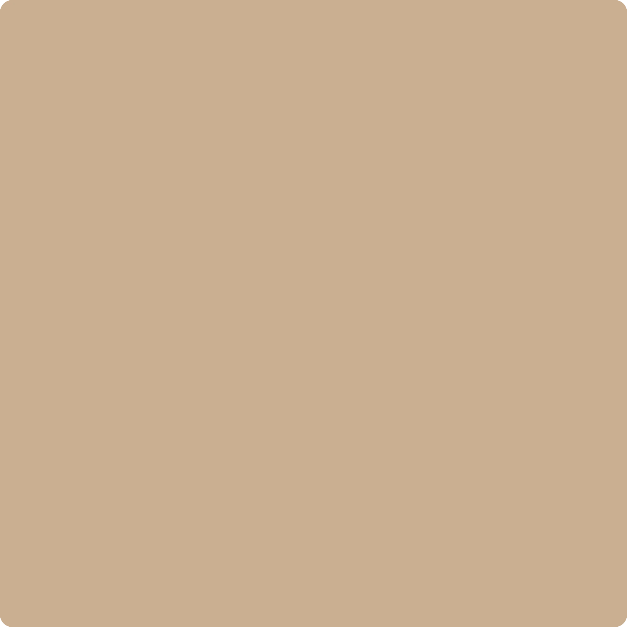 color- marron arena beige (1) color- marron arena beige (1)